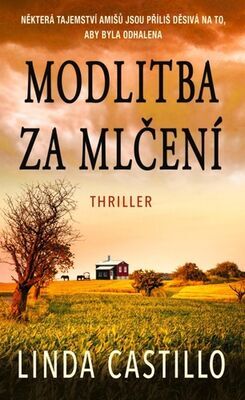 Modlitba za mlčení - Linda Castillo