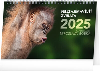 Nejzajímavější zvířata 2025 - stolní kalendář - Miroslav Bobek