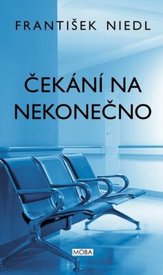 Čekání na nekonečno - František Niedl