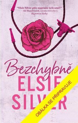 Bezchybně - Elsie Silver